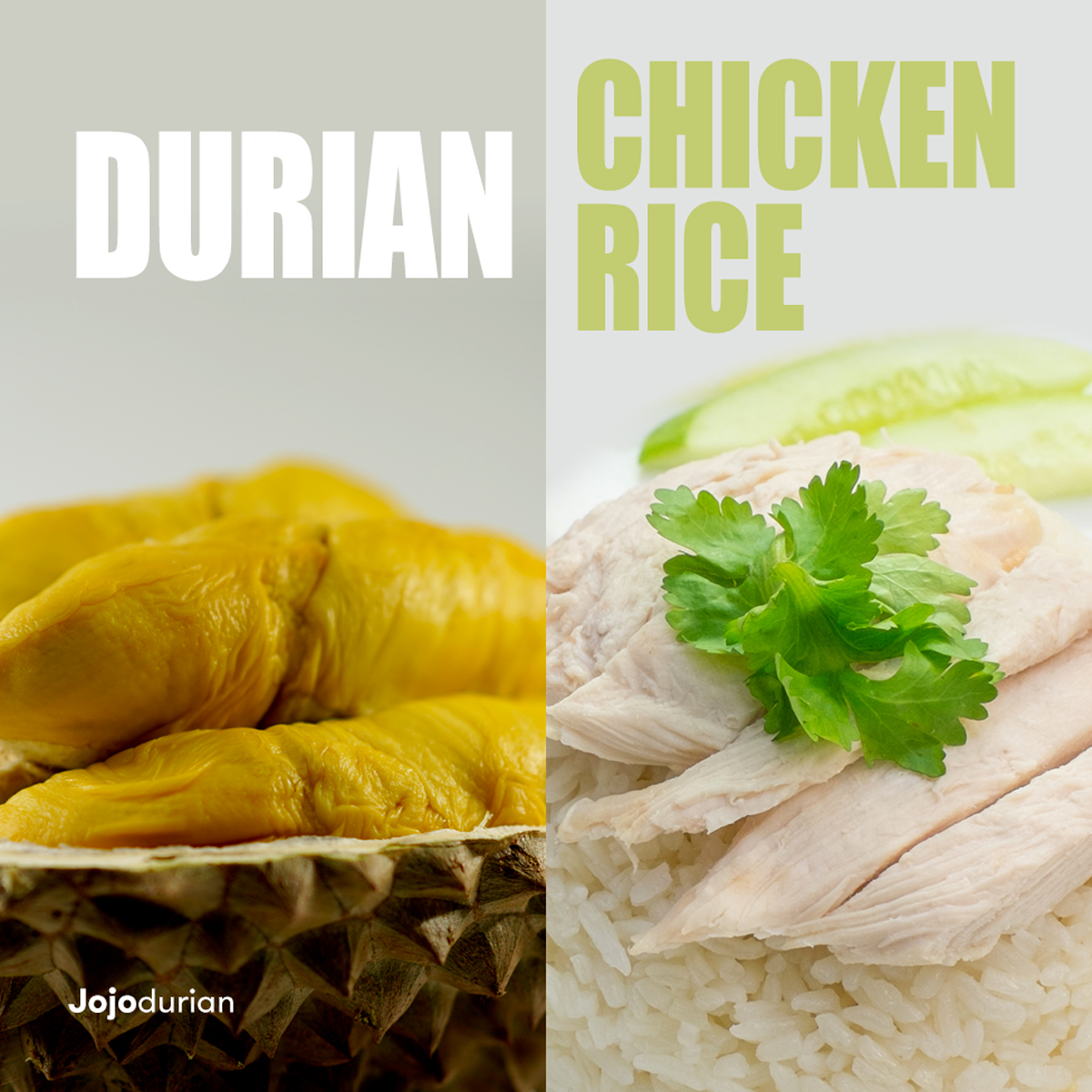 Meal Replacement durian chicken rice